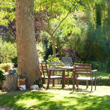 Domaine De Joreau Gennes-Val-de-Loire Εξωτερικό φωτογραφία