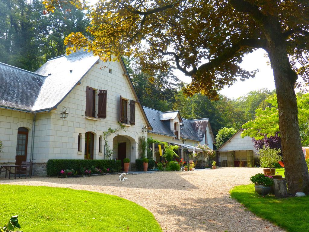 Domaine De Joreau Gennes-Val-de-Loire Εξωτερικό φωτογραφία