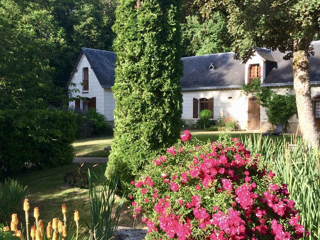 Domaine De Joreau Gennes-Val-de-Loire Εξωτερικό φωτογραφία