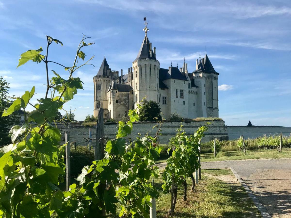 Domaine De Joreau Gennes-Val-de-Loire Εξωτερικό φωτογραφία